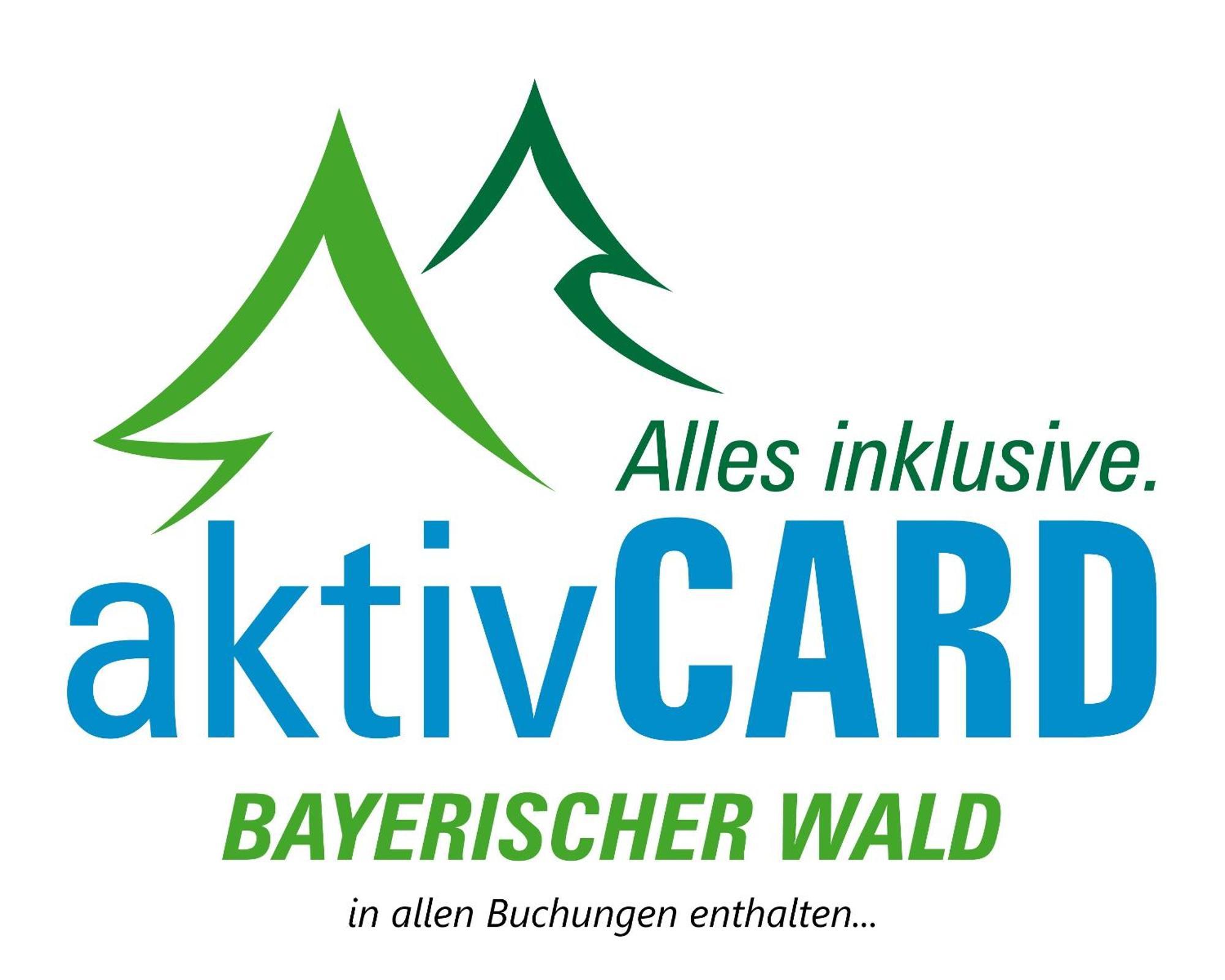 Village Hotel Bayerischer Wald Neukirchen  Zewnętrze zdjęcie