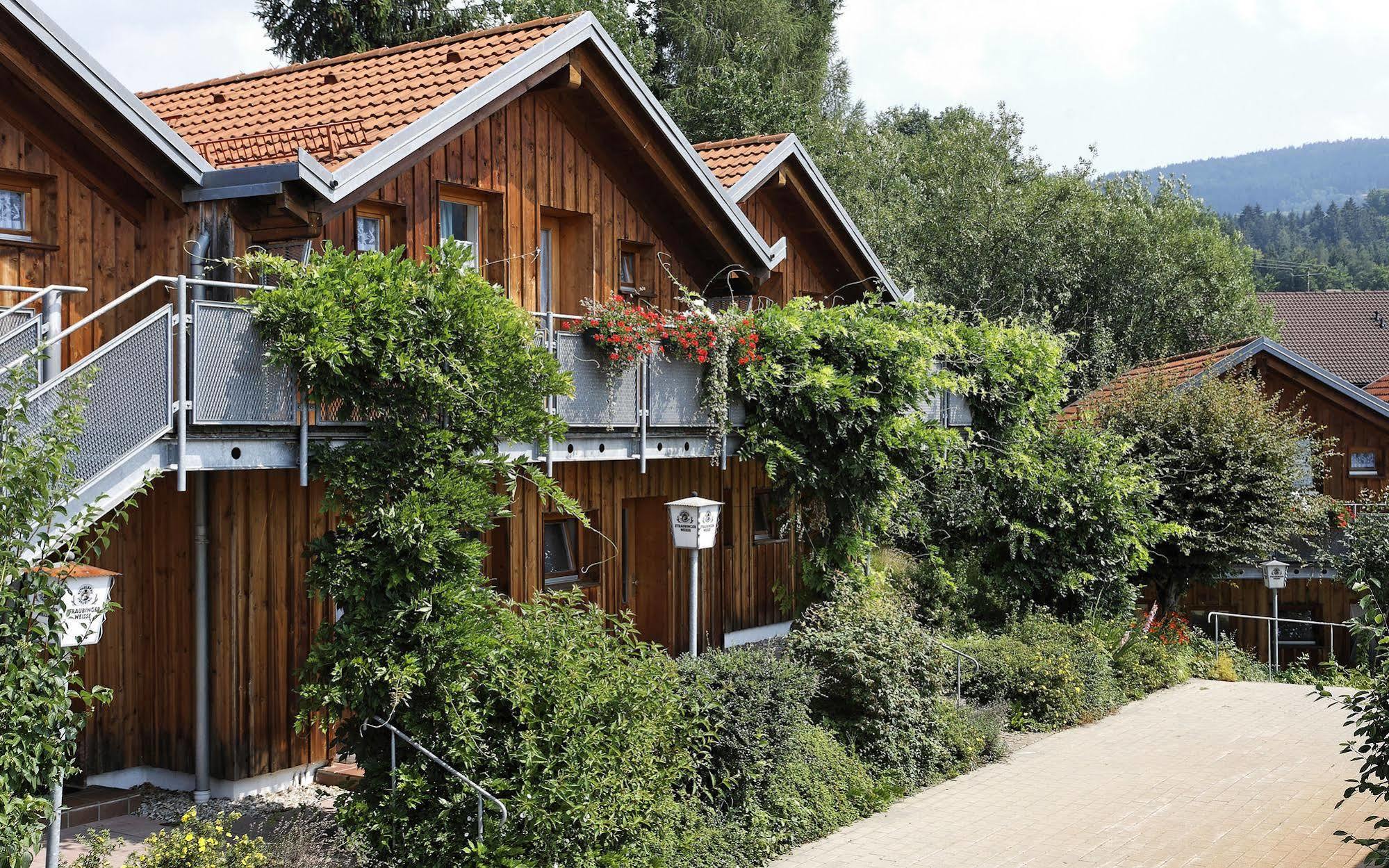 Village Hotel Bayerischer Wald Neukirchen  Zewnętrze zdjęcie
