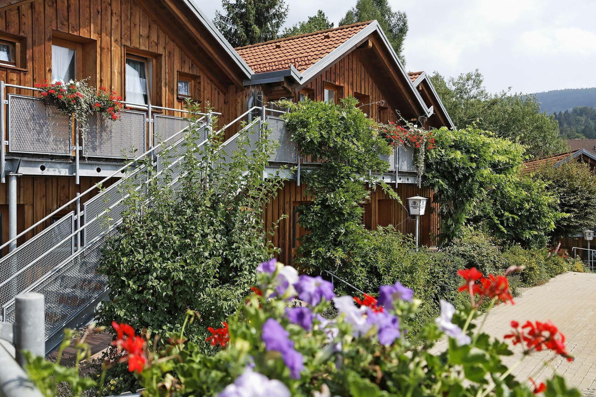 Village Hotel Bayerischer Wald Neukirchen  Zewnętrze zdjęcie
